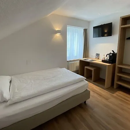 Hotel Artist