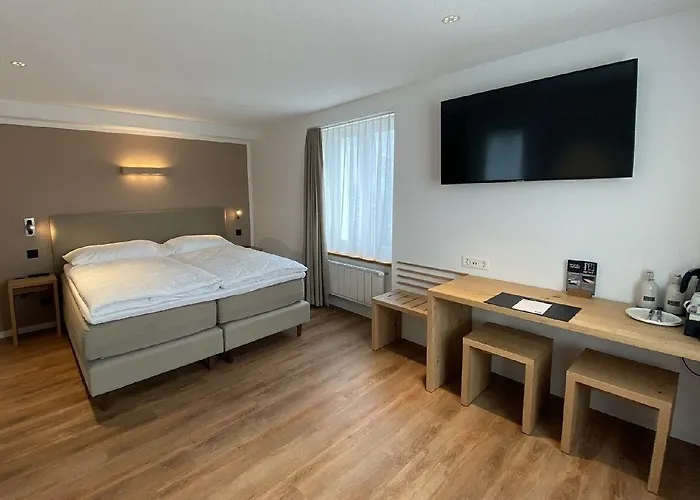 Artist 3* Μπίελ/Μπιένε